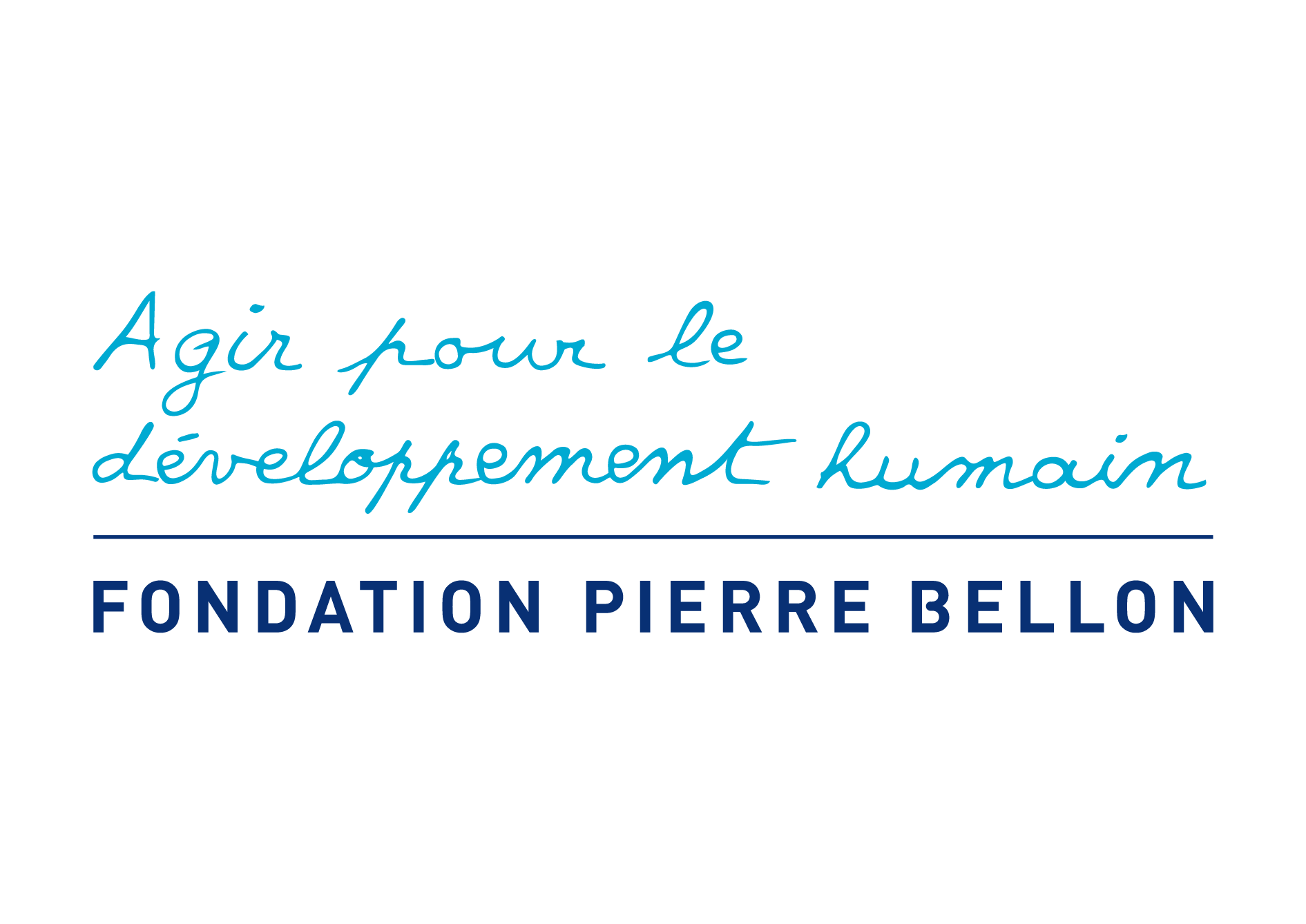 Logo fondation Pierre Bellon