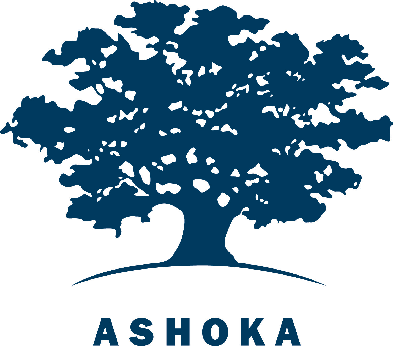 Logo bleu Ashoka